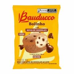BOLINHO BAUDUCCO BAUN/GT CHOC 40G